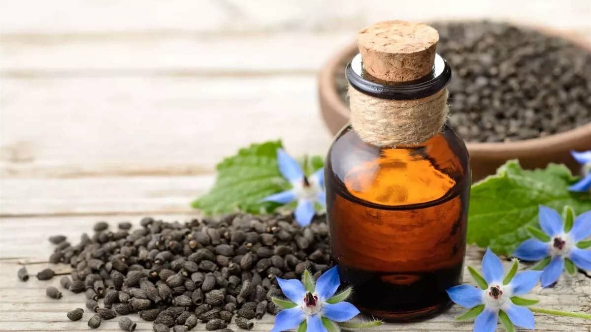 Hodan Otu Nedir? Hodan Yağı Faydaları Nelerdir?