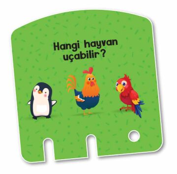 Zeka Kutusu – Konuşmayı Ve Dikkati Geliştiren Oyuncak (2-4 Yaş)