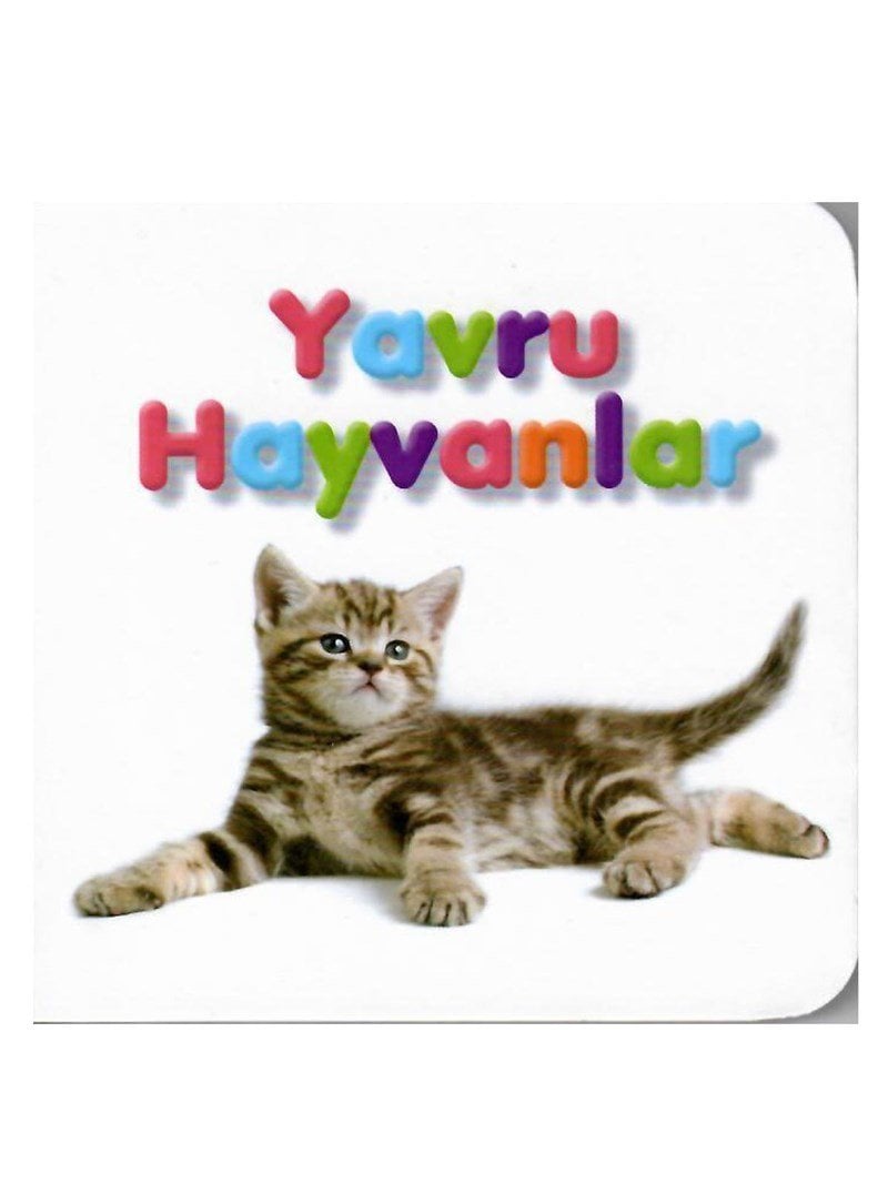 Yavru Hayvanlar-Küçük Kitaplar
