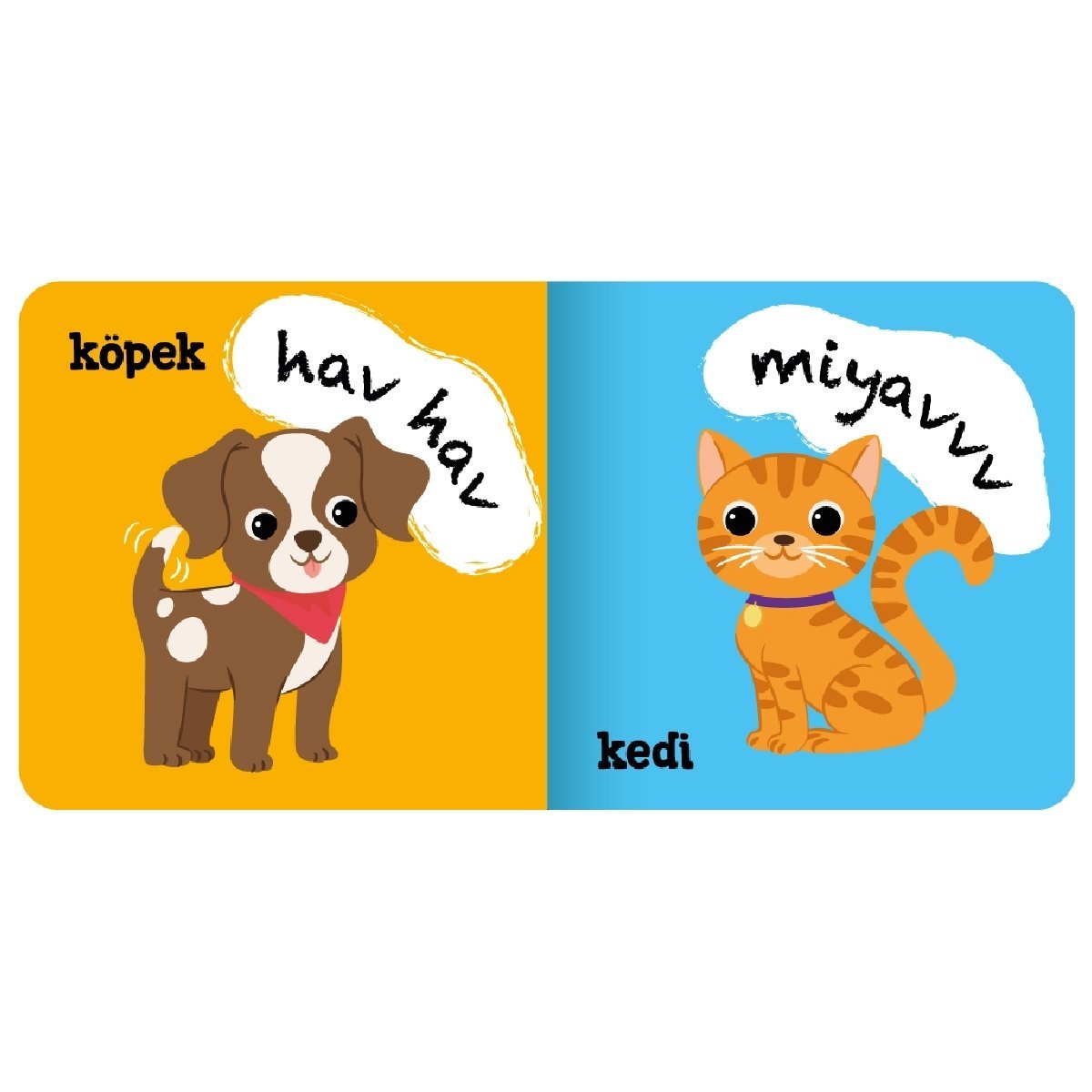 Minik Kitaplar - Hayvanlar