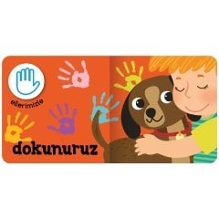 Minik Kitaplar – Beş Duyu
