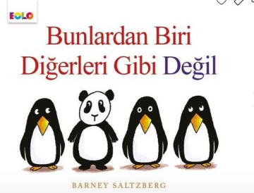 EOLO BUNLARDAN BİRİ DİĞERLERİ GİBİ DEĞİL
