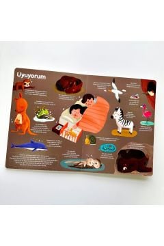 SİNCAP GENEL KÜLTÜR KİTABIM - BÜYÜYORUM