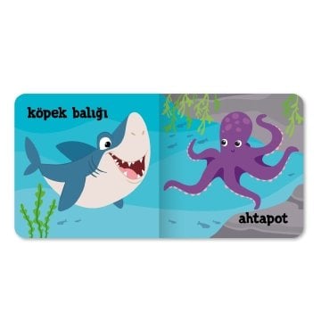 Minik Kitaplar – Sualtı