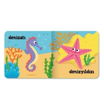 Minik Kitaplar – Sualtı