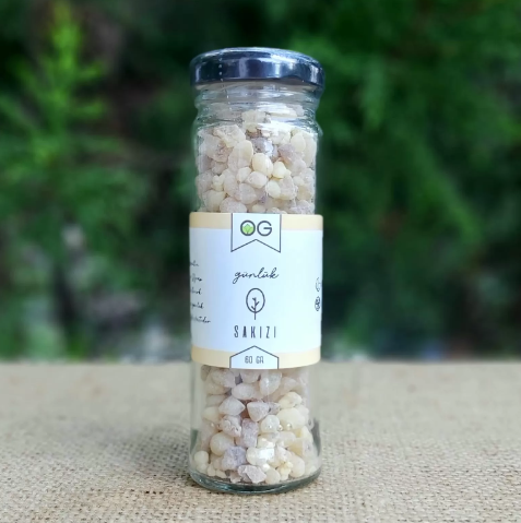 Günlük Sakızı 60 GR