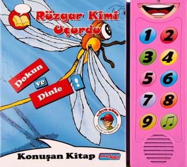Rüzgar Kimi Uçurdu - Sesli Kitap