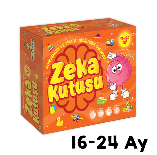 Zeka Kutusu 16-24 Ay