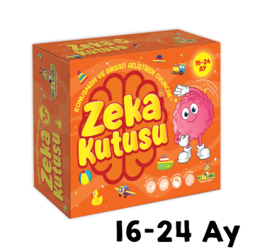Zeka Kutusu 16-24 Ay