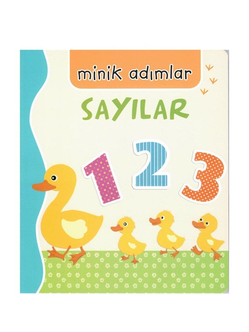 Minik Adımlar - Sayılar