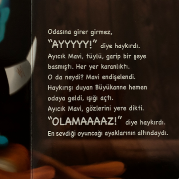 Güler Yüzlü Ay-Ayıcık Mavi ile İyi Geceler Masalları